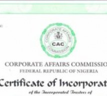 The Major Differences Between Business Name and Limited Liability Company (LTD) in Nigeria