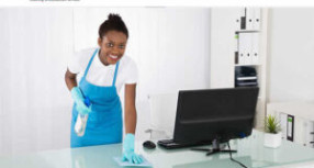 Logo, Flyer, and Web Design Solutions for Cleaning Services Logo, Flyer, and Web Design Solutions for Cleaning Services