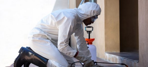 Professional Pest Control in Lagos, Nigeria